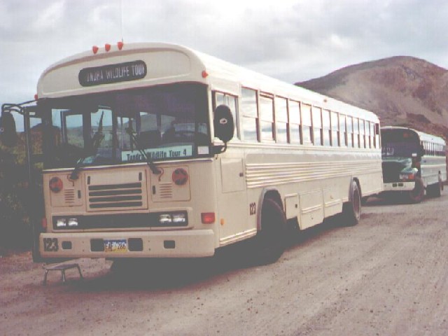 Brand new tour bus,
            in which we went sixty miles into the six million acre Denali National Park,
            on part of the ninety mile gravel road.